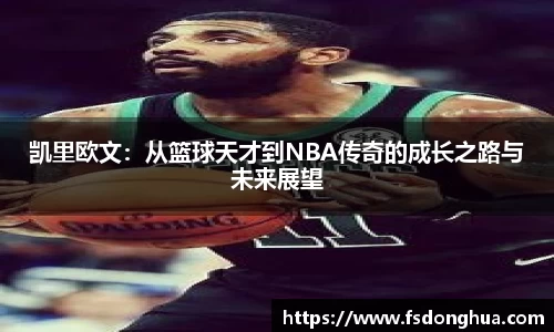 球速体育平台