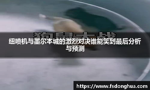 球速体育平台