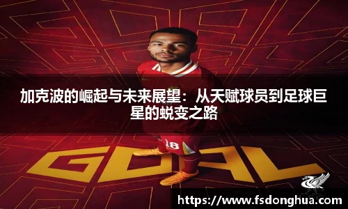 球速体育