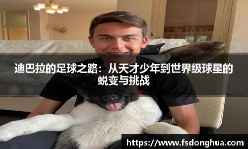 球速体育平台