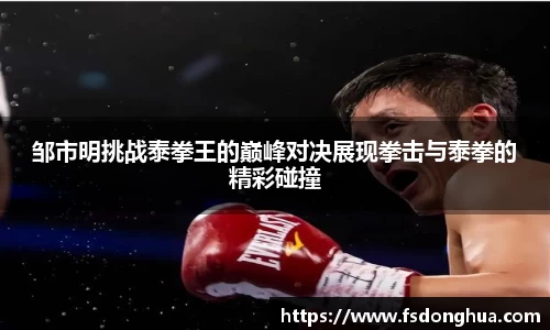 球速体育平台