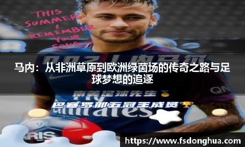 球速体育官网