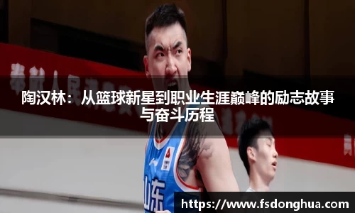 球速体育官网