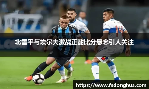 球速体育官网